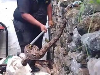 245116192 4688071901276763 5261837880561907526 n