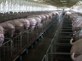 Upload 5c700bf24ca79