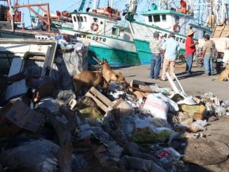 WhatsApp Image 2021 10 09 at 12.15.42 PM