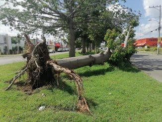 WhatsApp Image 2021 10 11 at 11.15.28 AM