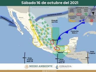 WhatsApp Image 2021 10 16 at 11.05.28 AM