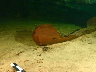 WhatsApp Image 2021 10 30 at 2.18.02 PM