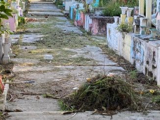 WhatsApp Image 2021 10 30 at 9.20.46 AM