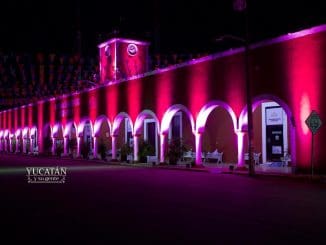 245604147 837066336932091 7440434649440454691 n