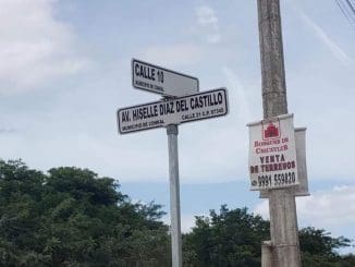 253656487 1861843414002758 282410987577078768 n