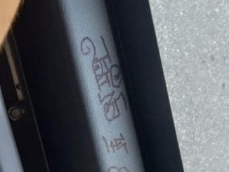 260472872 865410930795289 2037129726711070470 n