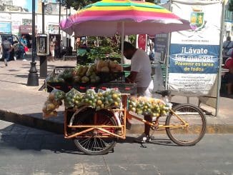 WhatsApp Image 2021 11 06 at 9.13.03 AM