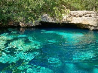 WhatsApp Image 2021 11 11 at 8.28.24 AM