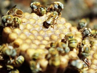 WhatsApp Image 2021 11 15 at 4.01.45 PM