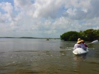 WhatsApp Image 2021 11 17 at 12.40.14 PM