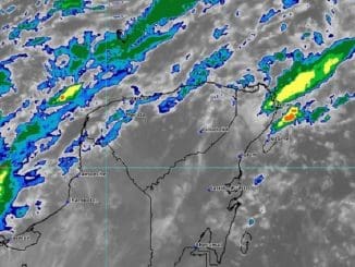 WhatsApp Image 2021 11 20 at 9.08.49 AM