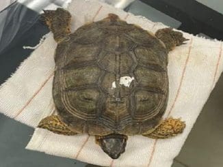 WhatsApp Image 2021 11 21 at 11.43.22 AM