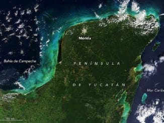 WhatsApp Image 2021 11 25 at 11.09.36 PM