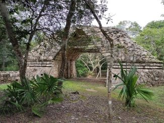 11787bdf 344b 4ee1 9612 98cf2934808c