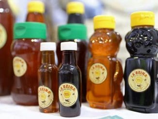 1500 347014e38a005ef1fdfba34d82cabf08 1068x712