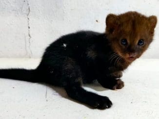 264416122 6728102547261570 4121128591833255751 n