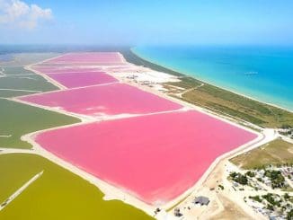 WhatsApp Image 2021 12 01 at 11.20.26 AM