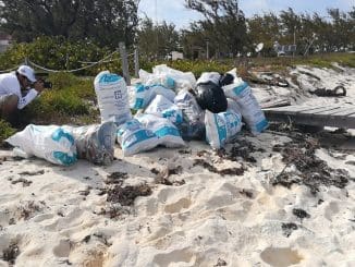 WhatsApp Image 2021 12 03 at 7.45.59 AM