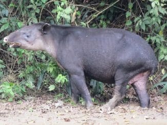 WhatsApp Image 2021 12 06 at 11.58.29 AM