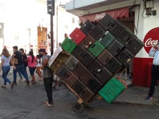 WhatsApp Image 2021 12 07 at 08.38.09