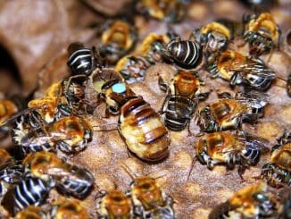 WhatsApp Image 2021 12 07 at 4.59.04 AM