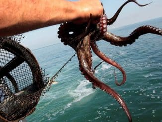 WhatsApp Image 2021 12 12 at 12.54.57 PM