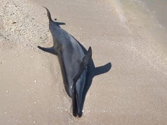 WhatsApp Image 2021 12 14 at 06.48.16