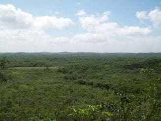 WhatsApp Image 2021 12 16 at 07.12.24