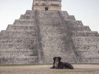 WhatsApp Image 2021 12 19 at 8.29.42 AM