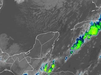 WhatsApp Image 2021 12 22 at 08.52.49