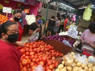 WhatsApp Image 2021 12 23 at 10.43.06