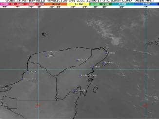 WhatsApp Image 2021 12 29 at 07.08.31