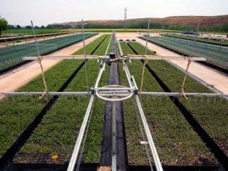 WhatsApp Image 2021 12 29 at 07.14.12