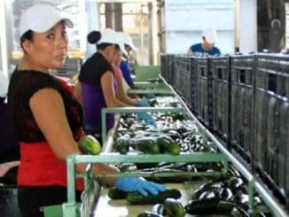 E1a3dbf6 a616 4db1 8fcb 2ae933fb4c77