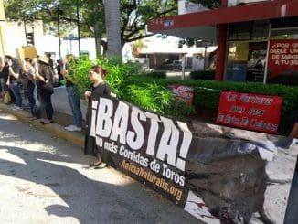 F4a3e5b3 6633 4c2f 8bfd 57dc601c26af