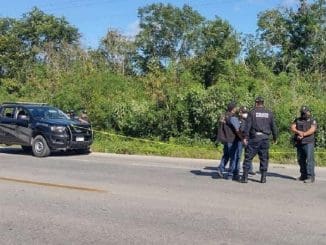 269982735 1901012460085853 8876292314432252343 n