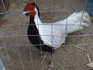 270571481 2999177000373392 8227012470670586785 n