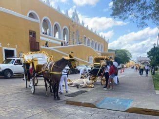 272304312 1916849588502140 2783828330820357981 n