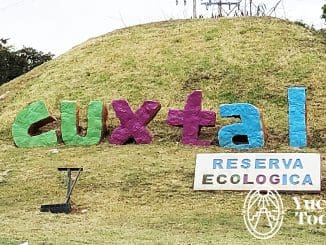 Reserva Ecologica Cuxtal by Andrea Mier y Teran