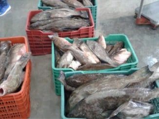 WhatsApp Image 2022 01 02 at 11.06.51 AM