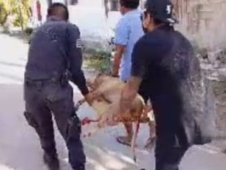 WhatsApp Image 2022 01 06 at 06.36.15