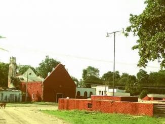 WhatsApp Image 2022 01 08 at 13.02.33