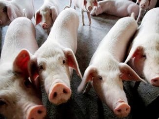 WhatsApp Image 2022 01 10 at 09.07.47