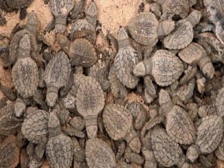 WhatsApp Image 2022 01 10 at 10.09.28