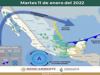 WhatsApp Image 2022 01 11 at 06.31.00