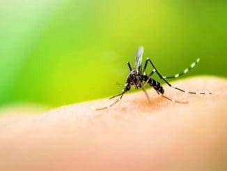 WhatsApp Image 2022 01 12 at 07.39.09