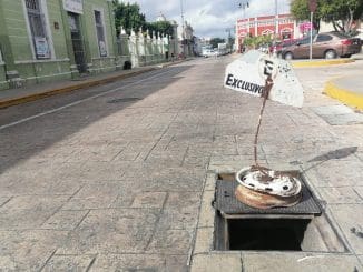 WhatsApp Image 2022 01 12 at 10.24.41