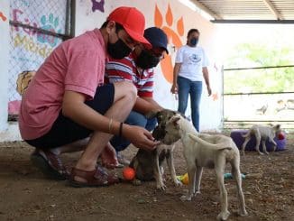 WhatsApp Image 2022 01 13 at 16.19.51