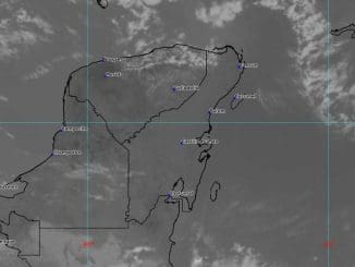 WhatsApp Image 2022 01 14 at 10.59.09