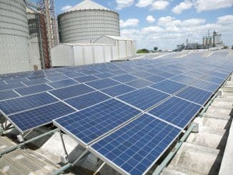 WhatsApp Image 2022 01 14 at 17.17.16